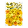 thumbnail image 1 of Dried Pressed Flowers For Resin, Embossed Floral Kit For Candle Making, DIY Crafts, Wedding Decor, Scrapbooking, Home Decor, And Jewelry, 1 of 1