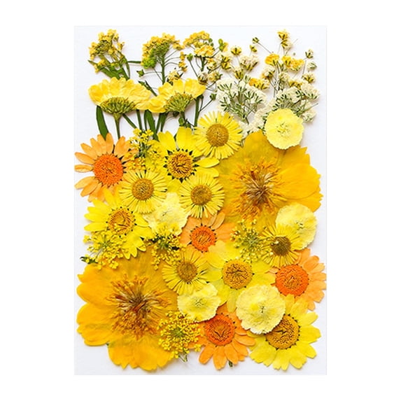 Dried Pressed Flowers For Resin, Embossed Floral Kit For Candle Making, DIY Crafts, Wedding Decor, Scrapbooking, Home Decor, And Jewelry