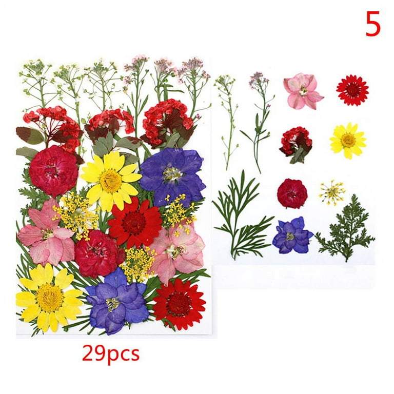 Dried Pressed Flowers for Resin Dry Leaves Bulk for Scrapbooking DIY Art  Crafts