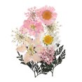 thumbnail image 1 of Dried Pressed Real Flowers Pressed Flowers Dry Leaves for DIY Crafts Pink, 1 of 6