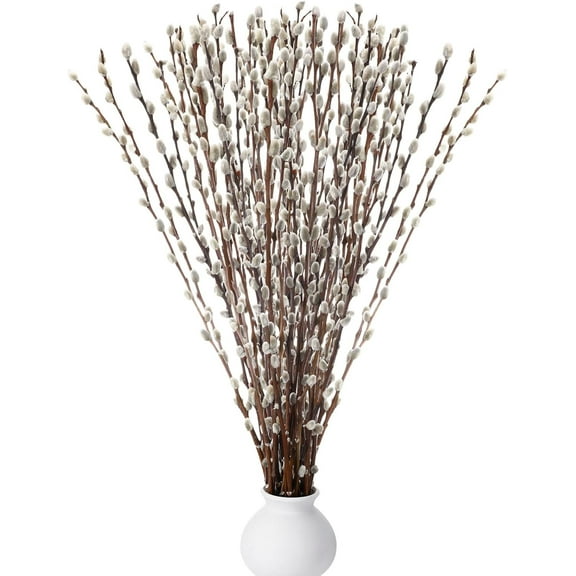 GIXUSIL Dried Pussy Willow Branches,15.8In Snow Willow Branches for Home Decor,Durable Dried Flowers for Indoor and Outdoor Decorations