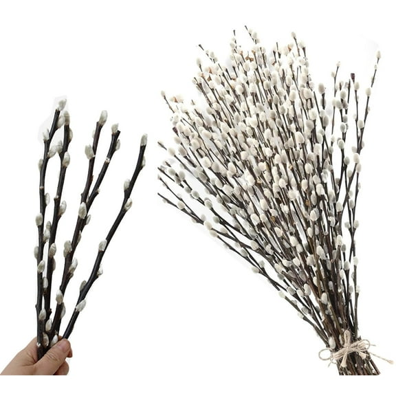 Dried PussyWillow Branches for Vases,20 Stems Natural Preserved Real Willows,11.8"Snow Pussywillows with White Flowers,Dried Flowers for Wedding Home DIY Floral Art Plants Fireplace