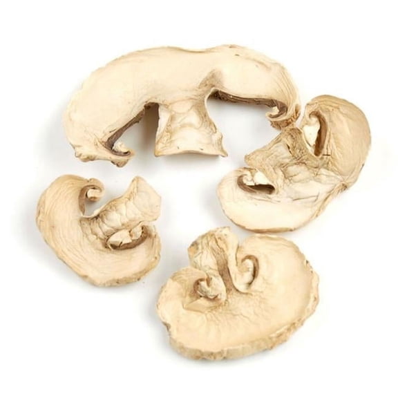 Dried Sliced Champignon White Button Mushrooms, 1 Pound