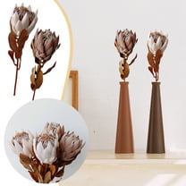 Dried South African Floral Arrangement 1969 Inch Tall Natural Botanicals for Home