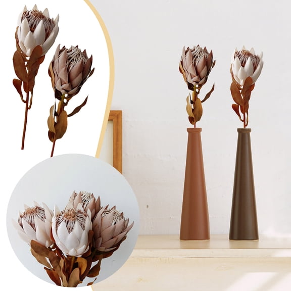 Dried South African Flower Bouquet Natural Decorative Floral Arrangement 1969 Inch Long Lasting Elegant Home