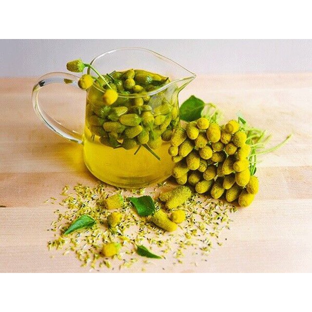 Dried Spilanthes Flowers, Buzz Buds, Toothache Plant, Eyeball Plant