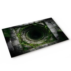 Dried Well Door Mat 3D Abstract Ancient Mysterious Stones Non Slip Absorbent Entrance Mat Washable Low Profile Indoor Doormat for Front Door Entryway Entry 20"x31"