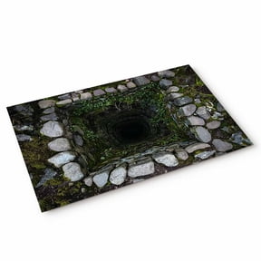 Dried Well Door Mat 3D Abstract Mysterious Ancient Stone Cave Plant Non Slip Absorbent Entrance Mat Washable Low Profile Indoor Doormat for Front Door Entryway Entry 16"x24"