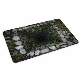Dried Well Doormat 3D Abstract Mysterious Ancient Stone Cave Plant Non Slip Low Profile Rubber Door Mat Washable Absorbent Indoor Front Door Mat Entryway Rug Entrance Carpet 18x30 Inch