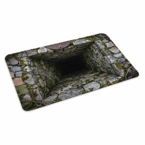 Dried Well Doormat 3D Abstract Mysterious Stone Cave Plants Non Slip Low Profile Rubber Door Mat Washable Absorbent Indoor Front Door Mat Entryway Rug Entrance Carpet 16x24 Inch