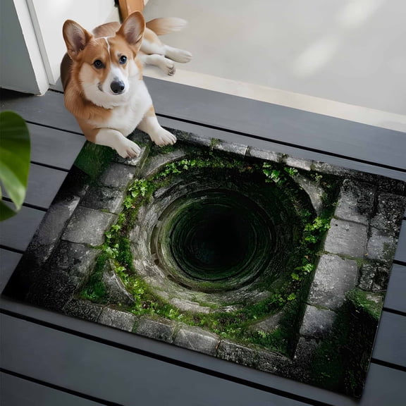 Dried Well Front Door Rugs 2x3 ft 3D Abstract Ancient Mysterious Stones Small Rug for Entryway Non Slip Washable Bathroom Door Mat Absorbent Floor Mat for Indoor Entrance