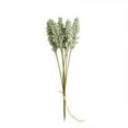 thumbnail image 1 of Dried Wheat Stalks, 1 Bouque 6 Pcs Dried Flowers Natural Wheat for Home Kitchen Office Flowers Arrangement Wedding Table Christmas Farmhouse Boho Party Fall Decor, 11.81 Inch, Green, 1 of 2