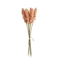 thumbnail image 1 of Dried Wheat Stalks, 1 Bouque 6 Pcs Dried Flowers Natural Wheat for Home Kitchen Office Flowers Arrangement Wedding Table Christmas Farmhouse Boho Party Fall Decor, 11.81 Inch, Pink, 1 of 2