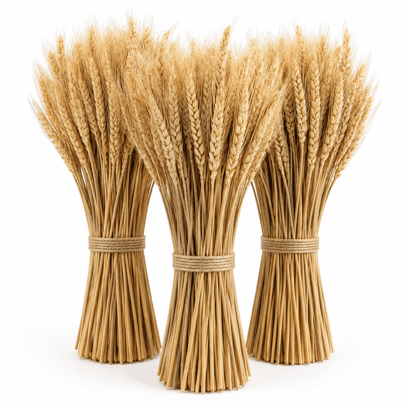 Dried Wheat Stalks, 16 Inch Natural Wheat Sheaves Fall Arrangement for DIY Craft, Home Table, Wedding Decor