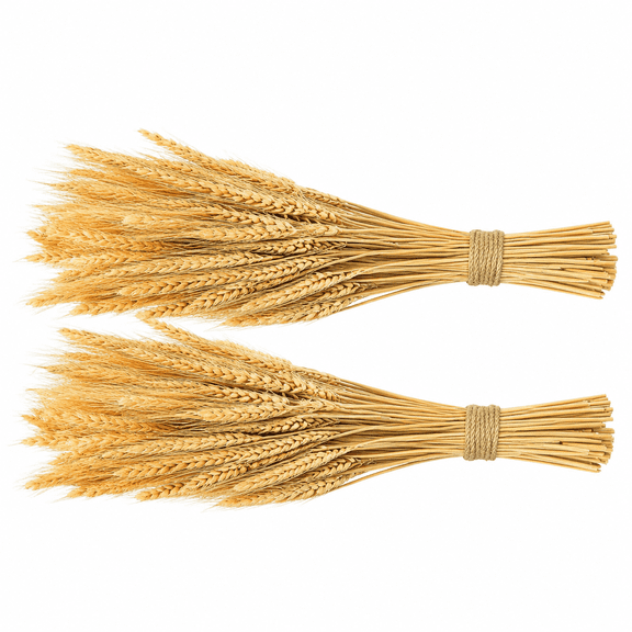 Dried Wheat Stalks, Dried Flowers Natural Wheat for Home Kitchen Office Flowers Arrangement Wedding Table Christmas Farmhouse Boho Party Fall Dcor