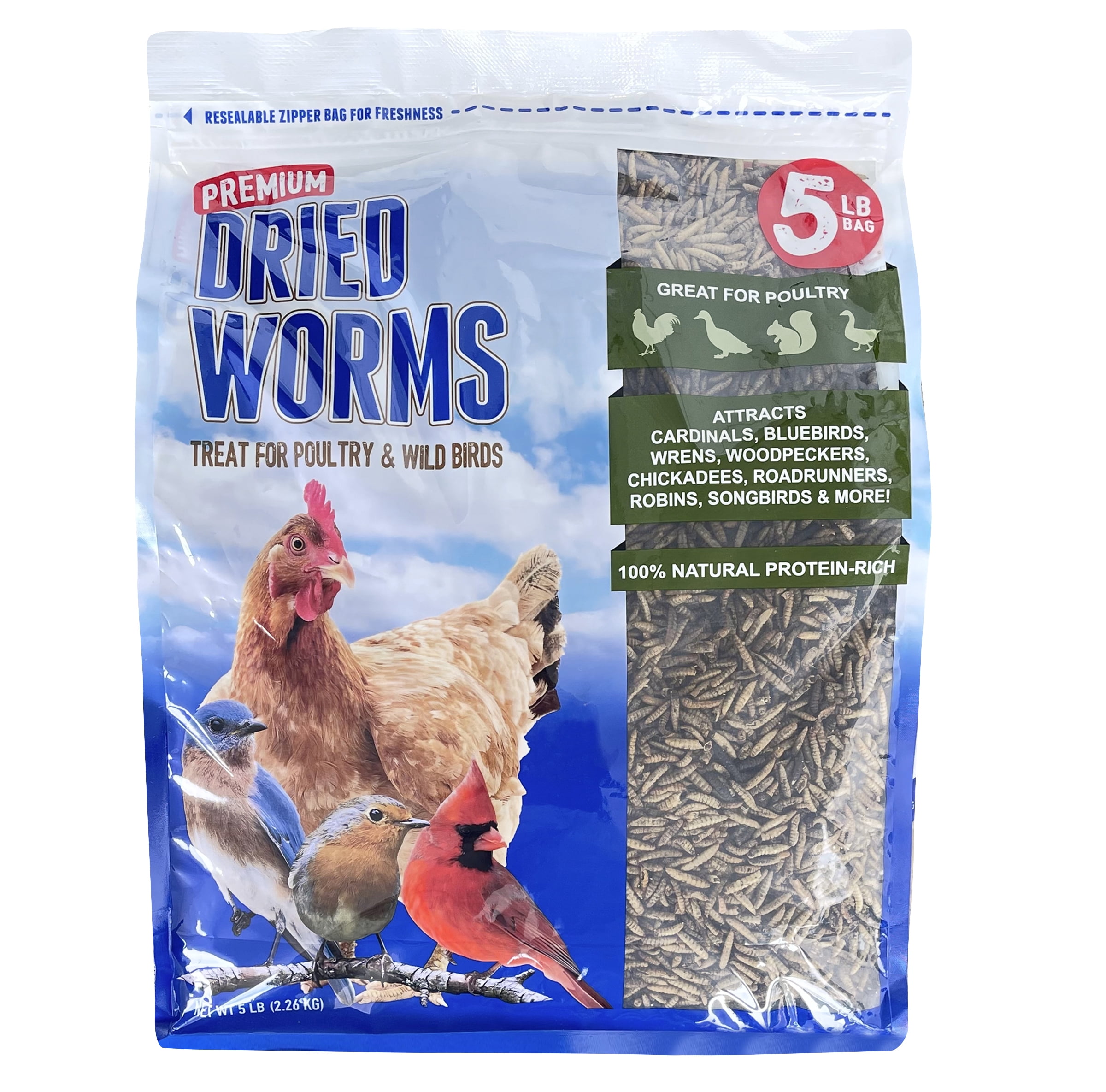 Dried Worms Treat High-Energy Snack for Wild Birds & Poultry