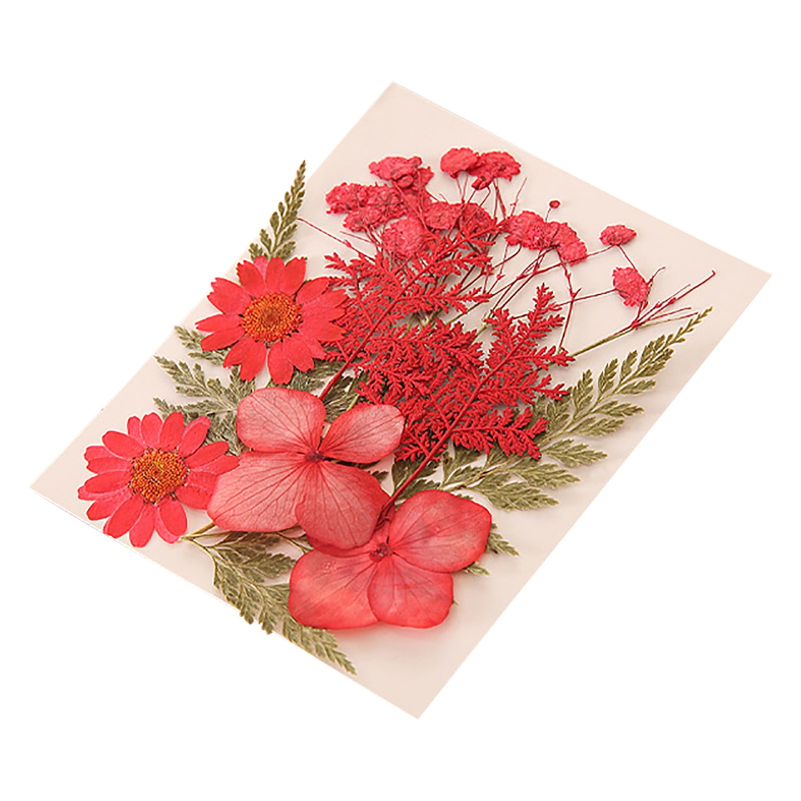 Dried and Embossed Flowers for Resin Kit Candles and Crafts