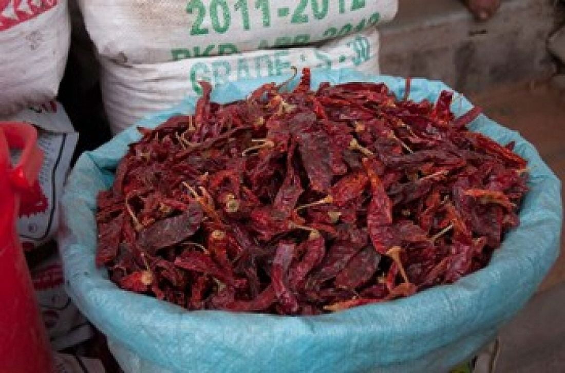 Dried chilies Jojawar Rajasthan India Canvas Art - Inger Hogstrom DanitaDelimont (22 x 15)