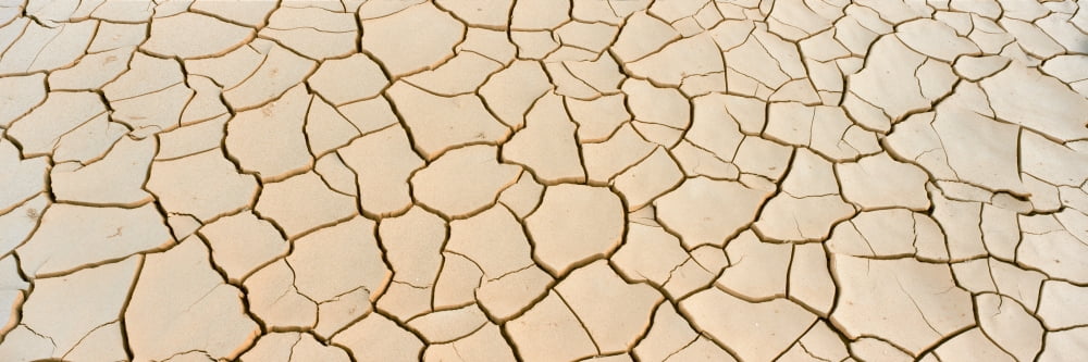 Dried mud flats Lees Ferry Glen Canyon National Recreation Area Coconino County Arizona USA Canvas Art - Panoramic Images (12 x 36)
