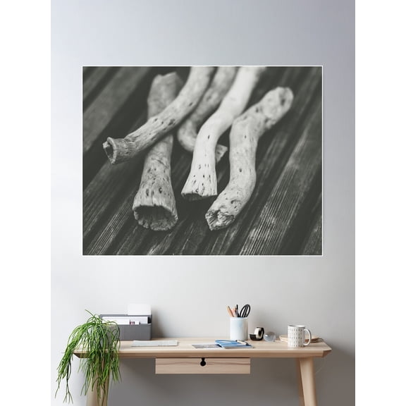 Drift Wood Poster Wall Art, Modern Wall Decor For Living Room Bedroom, 16x24 UNFRAMED