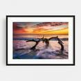 thumbnail image 1 of Driftwood Beach - Savannah Georgia Photography Black Framed Wall Art Print 24 x 30 inches, 1 of 4