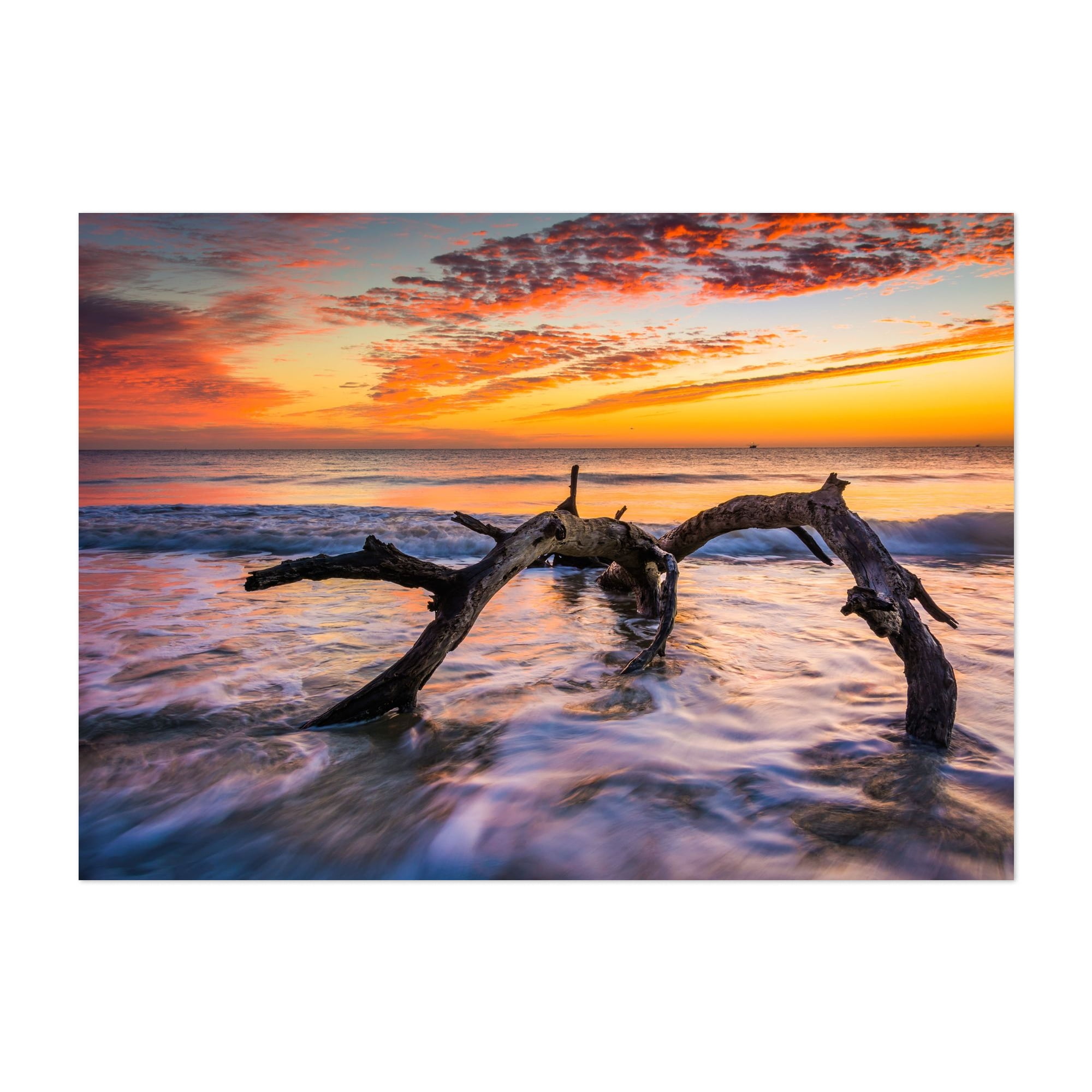 Driftwood Beach - Savannah Georgia Photography Beach Sunset Ocean