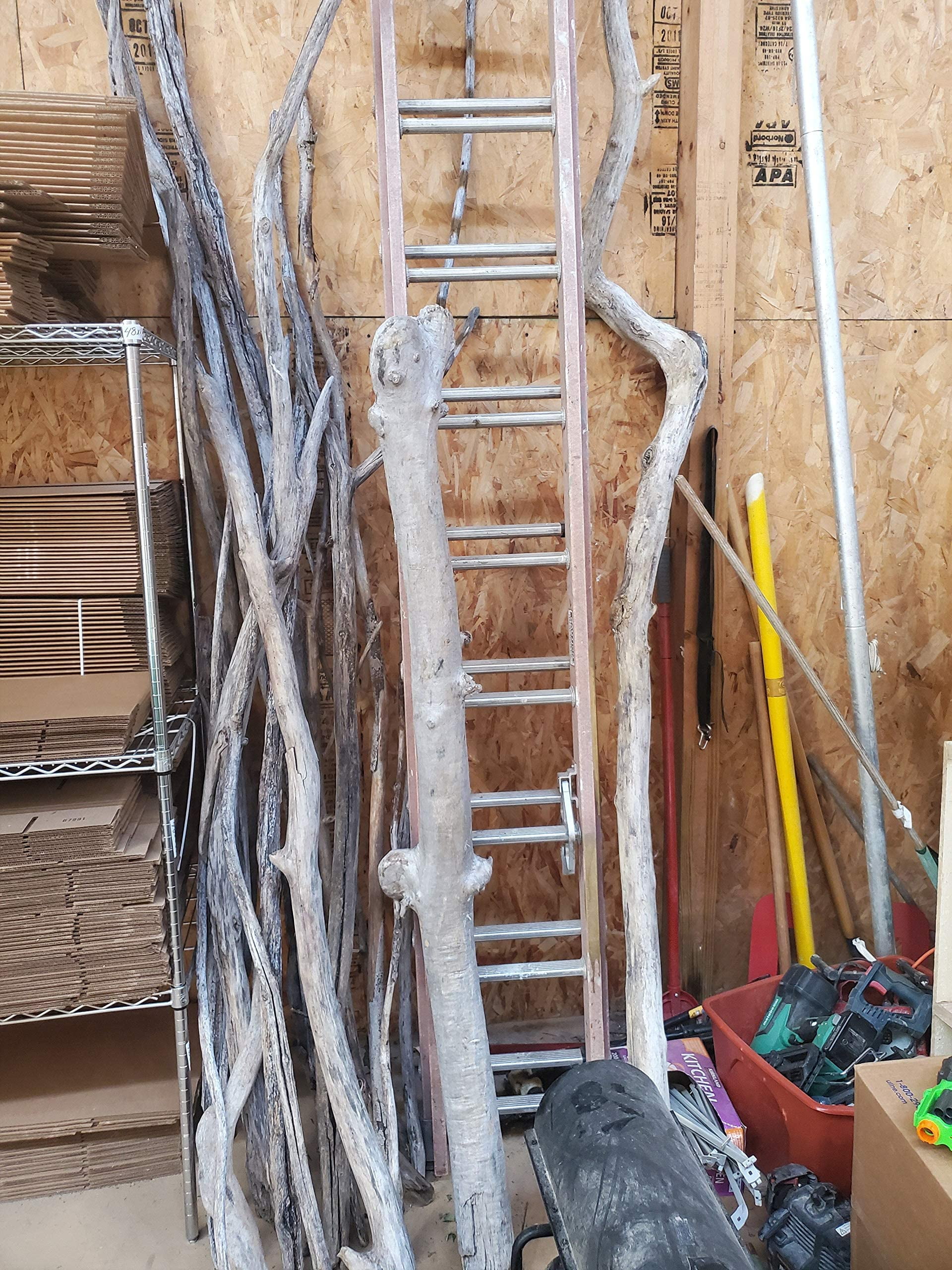 Driftwood Pole Foot Long (4pack)-2-3 inches Thick for Cat Tree