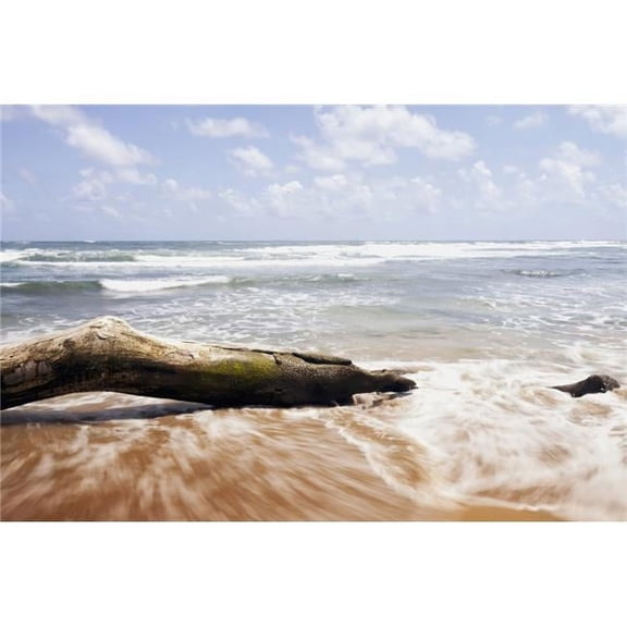 Driftwood & Rocks at Lydgate Beach Park - Lydgate Kauai Hawaii United States of America Poster Print - 38 x 24 in. - Large