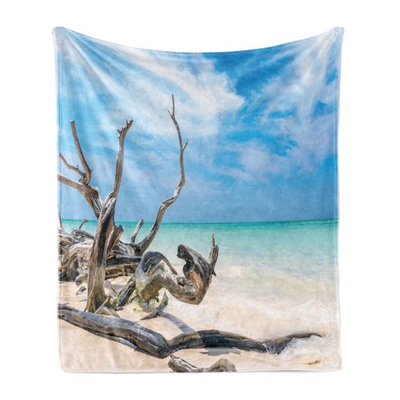 Driftwood Soft Flannel Fleece Throw Blanket, Seascape Theme Branches on the Sandy Beach of Cuba and the Sky Image, Cozy Plush for Indoor and Outdoor Use, 50" x 60", Turquoise Sky Blue, by Ambesonne