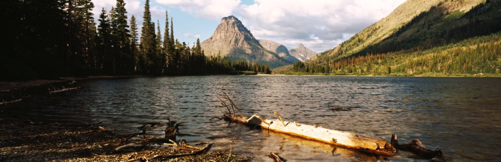 Driftwood in a lake Two Medicine Lake US Glacier National Park Montana USA Canvas Art - Panoramic Images (27 x 9)