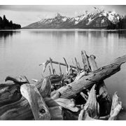 Driftwood on shore of Jackson Lake, with Teton Range in background, Grand Teton National Park, Wyomi Poster Print by Ansel Adams 12 x 12