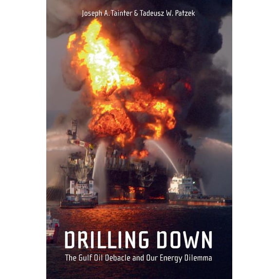 Drilling Down: The Gulf Oil Debacle and Our Energy Dilemma, (Paperback)