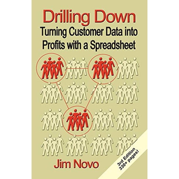 Drilling Down: Turning Customer Data into Profits with a Spreadsheet - Third Edition (Paperback)