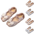 thumbnail image 1 of Drindf Girls Sparkle Princess Dress Shoes with Pearl Toddler Kids Wedding Party Flower Mary Jane Shoes Elegant Non Slip Ballet Flats, 1 of 9