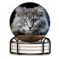 thumbnail image 1 of Drink Coasters Set of 4 with Holder Portrait of beautiful fluffy gray cat with blue eyes lying on wooden table Water Absorbent Ceramic Coasters Tabletop Protection,Suitable for Various Cup, 1 of 4