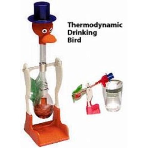 Drinking Bird Colors Vary