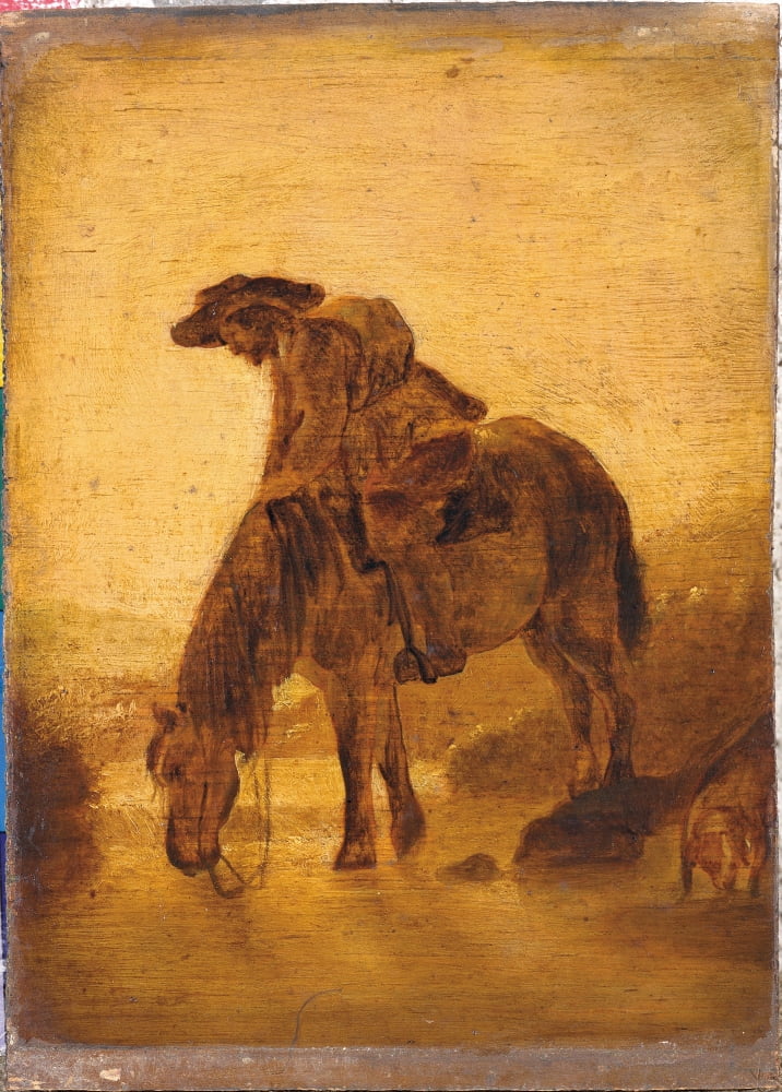 Drinking Horse Canvas Art - (18 x 24)