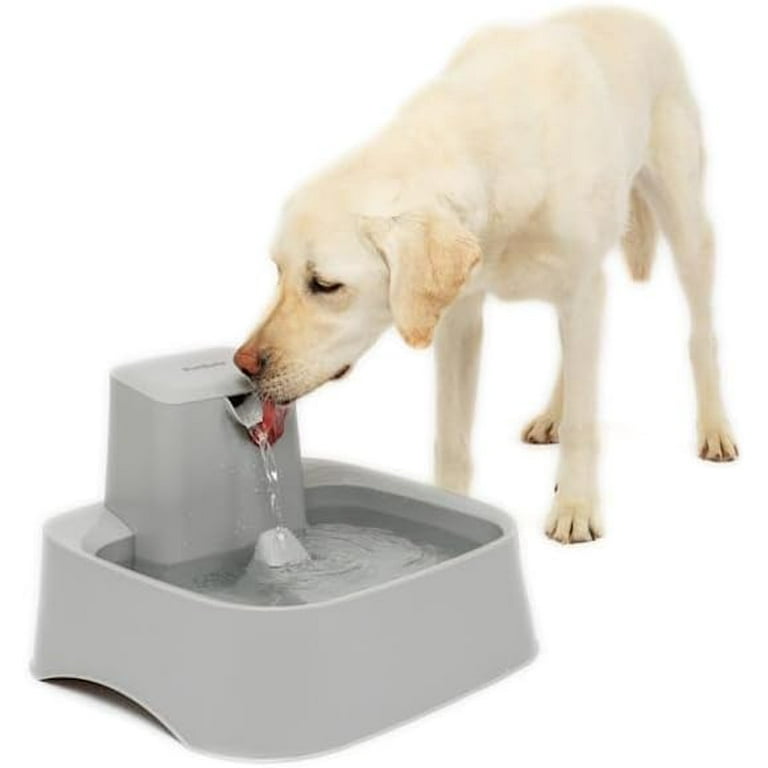 Drinkwell 2 gallon pet fountain best sale