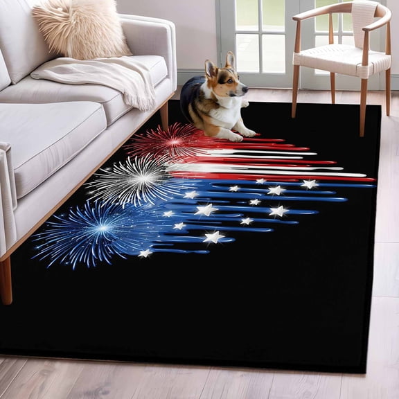 Dripping Paint 4'x6' Area Rugs Red White Blue Fireworks Dripping Paint Heart Black Washable Area Rugs Non-Slip Indoor Floor Mats Carpet for Living Room Bedroom Dining Room