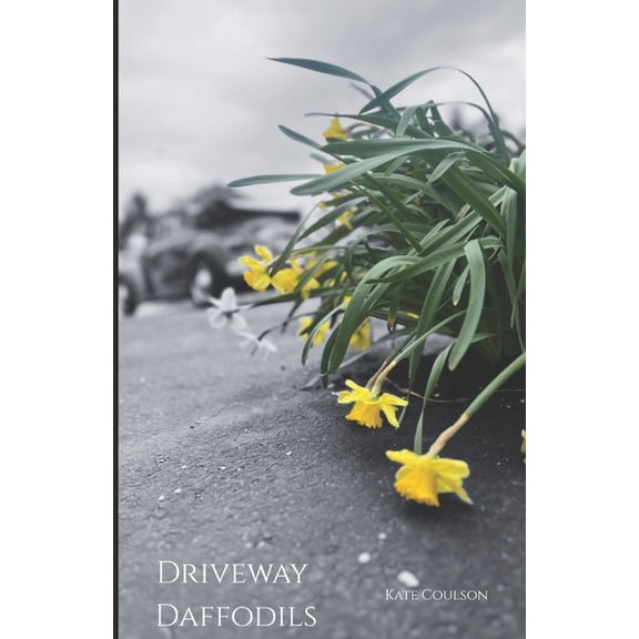 Driveway Daffodils, (Paperback)