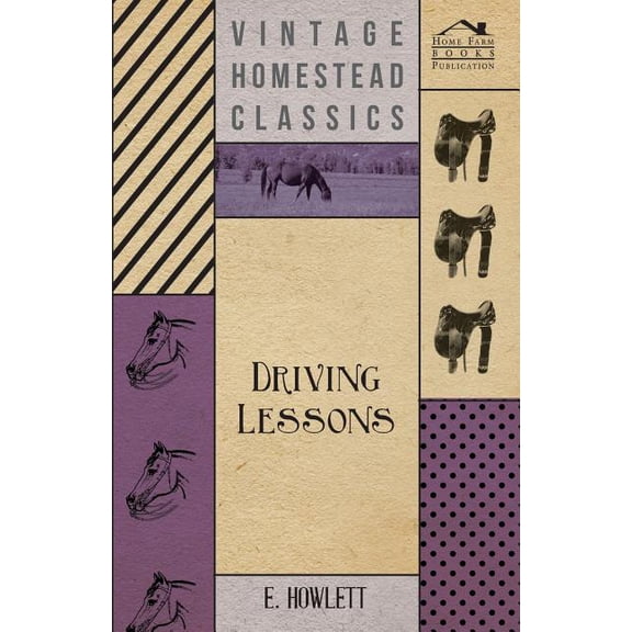 Driving Lessons (Paperback)