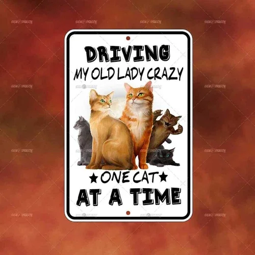 Driving Old Lady Crazy Cat Sign Novelty Home Room Wall Art Gift Decor A2870