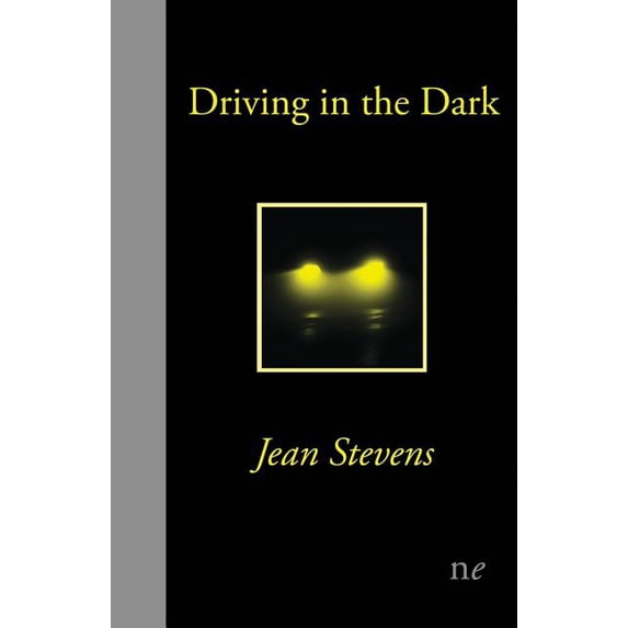 Driving in the Dark, (Paperback)