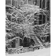 thumbnail image 1 of Drolet Street In Winter, Montreal, Quebec, B/W Poster Print (14 x 18), 1 of 3