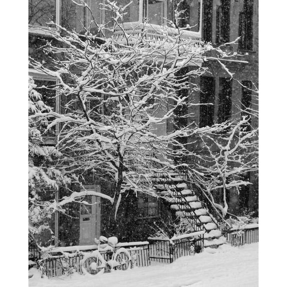 Drolet Street In Winter, Montreal, Quebec, B/W Poster Print (14 x 18)