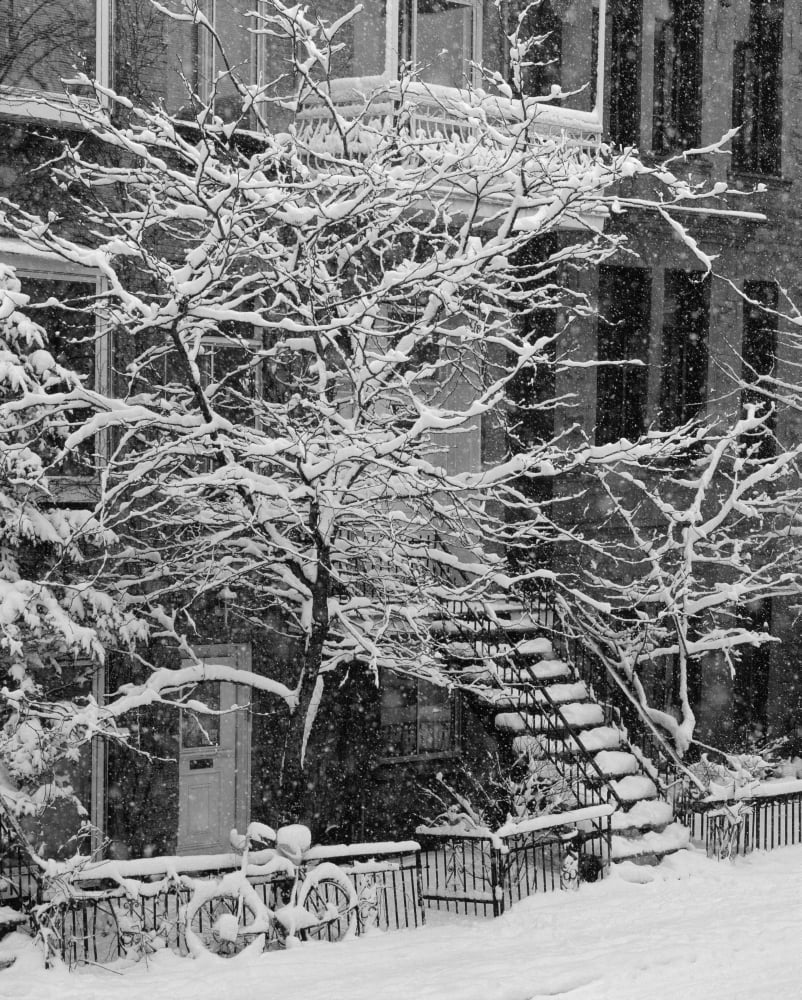 Drolet Street In Winter Montreal Quebec BW Canvas Art - Yves Marcoux Design Pics (14 x 18)