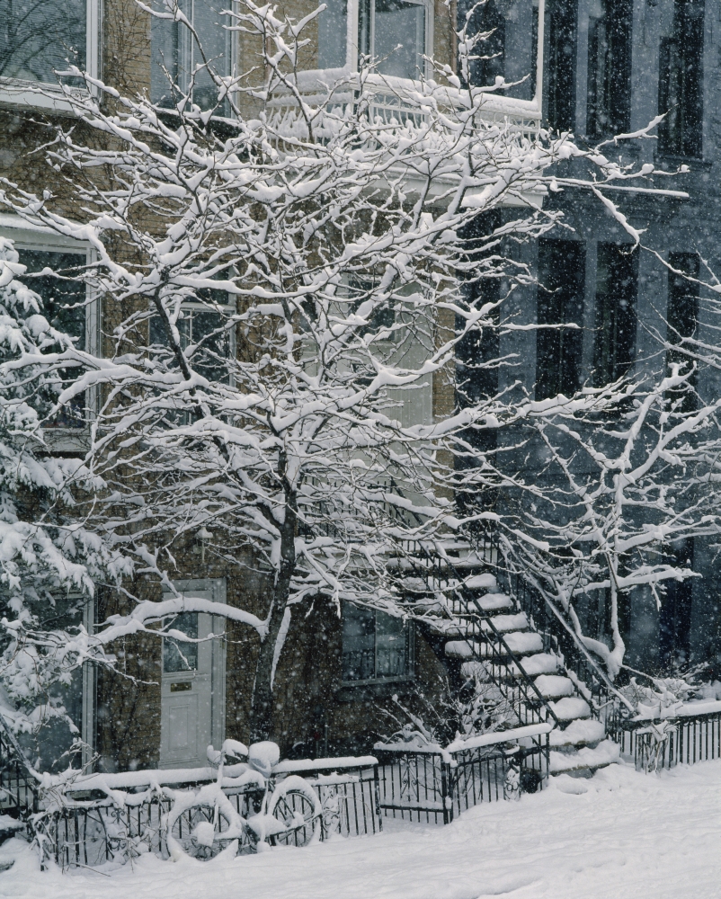 Drolet Street In Winter Montreal Quebec Canvas Art - Yves Marcoux Design Pics (14 x 18)