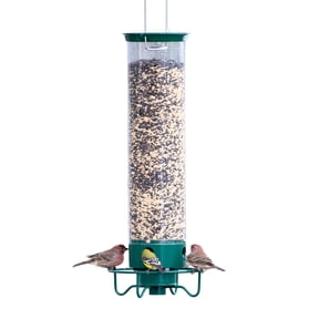 Droll Yankees Squirrel Proof Bird Feeders for Outdoors - YF-M - Flipper, Collapsible Perches, 5-Pound Seed Capacity, Green