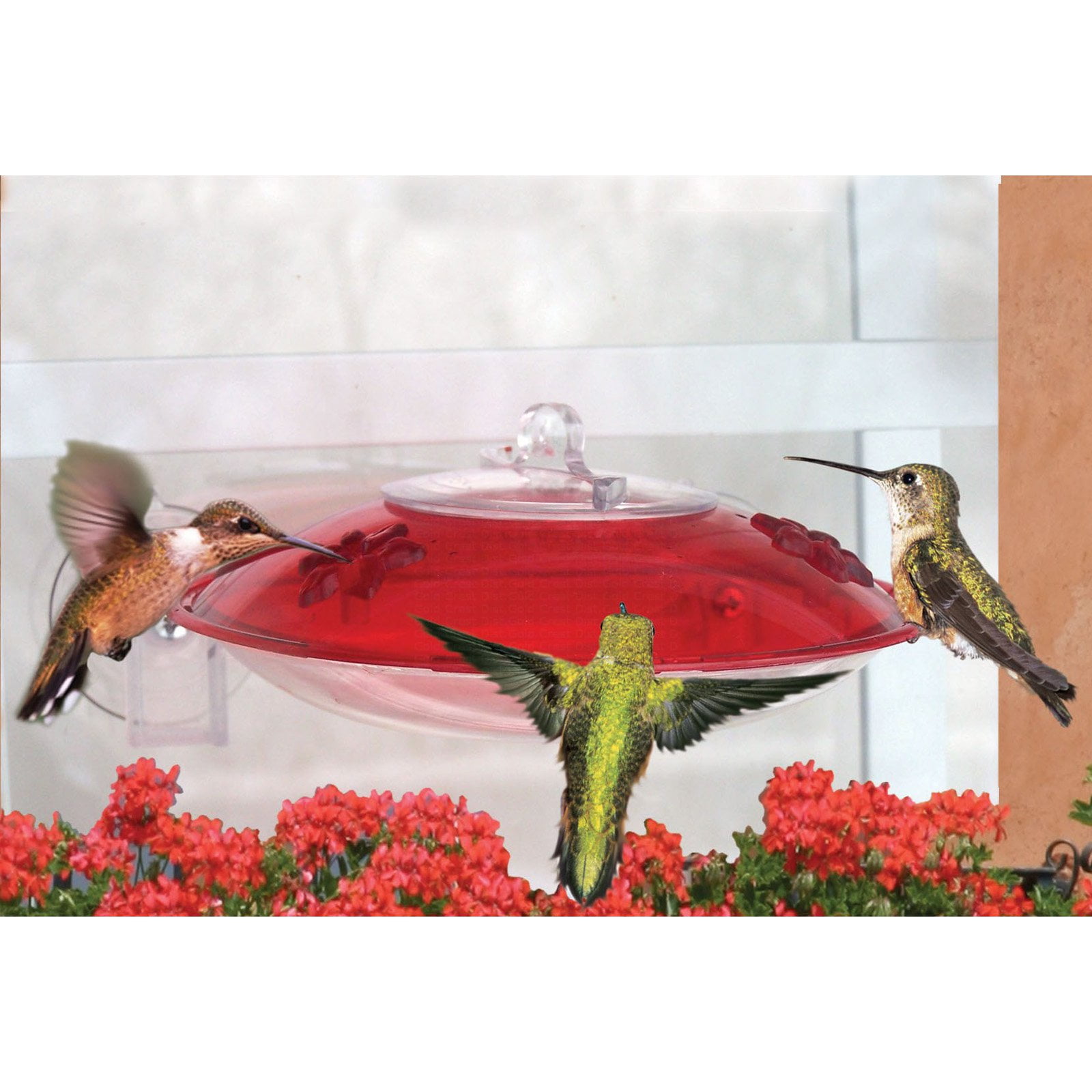 Red Window Mounted Plastic Hummingbird Feeder with 2 Ports
