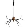 thumbnail image 1 of Drop Down Spider, 1 of 1